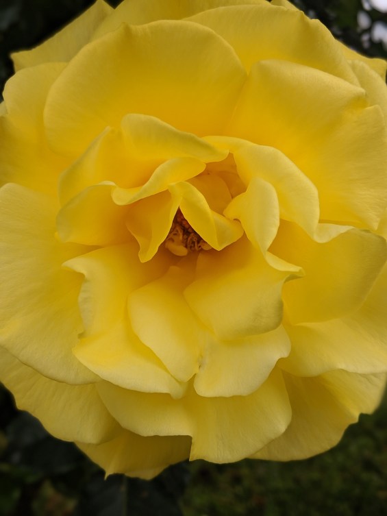 00100dPORTRAIT_00100_BURST20200418104206290_COVER